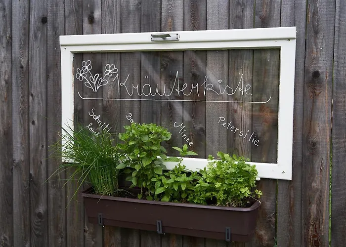 Freestyle 소우텐즈