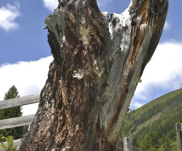 Apartamento Freestyle *